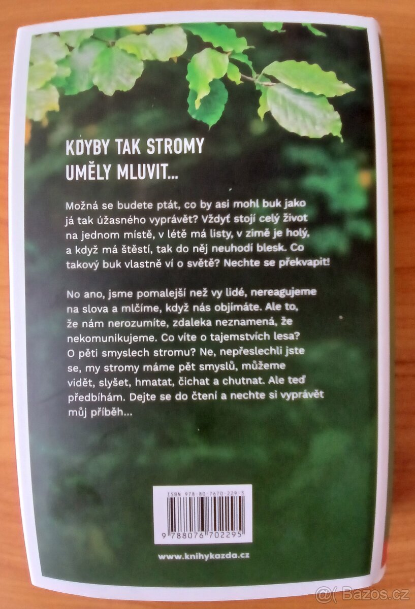 Ze života buků - Wohlleben Peter - 2