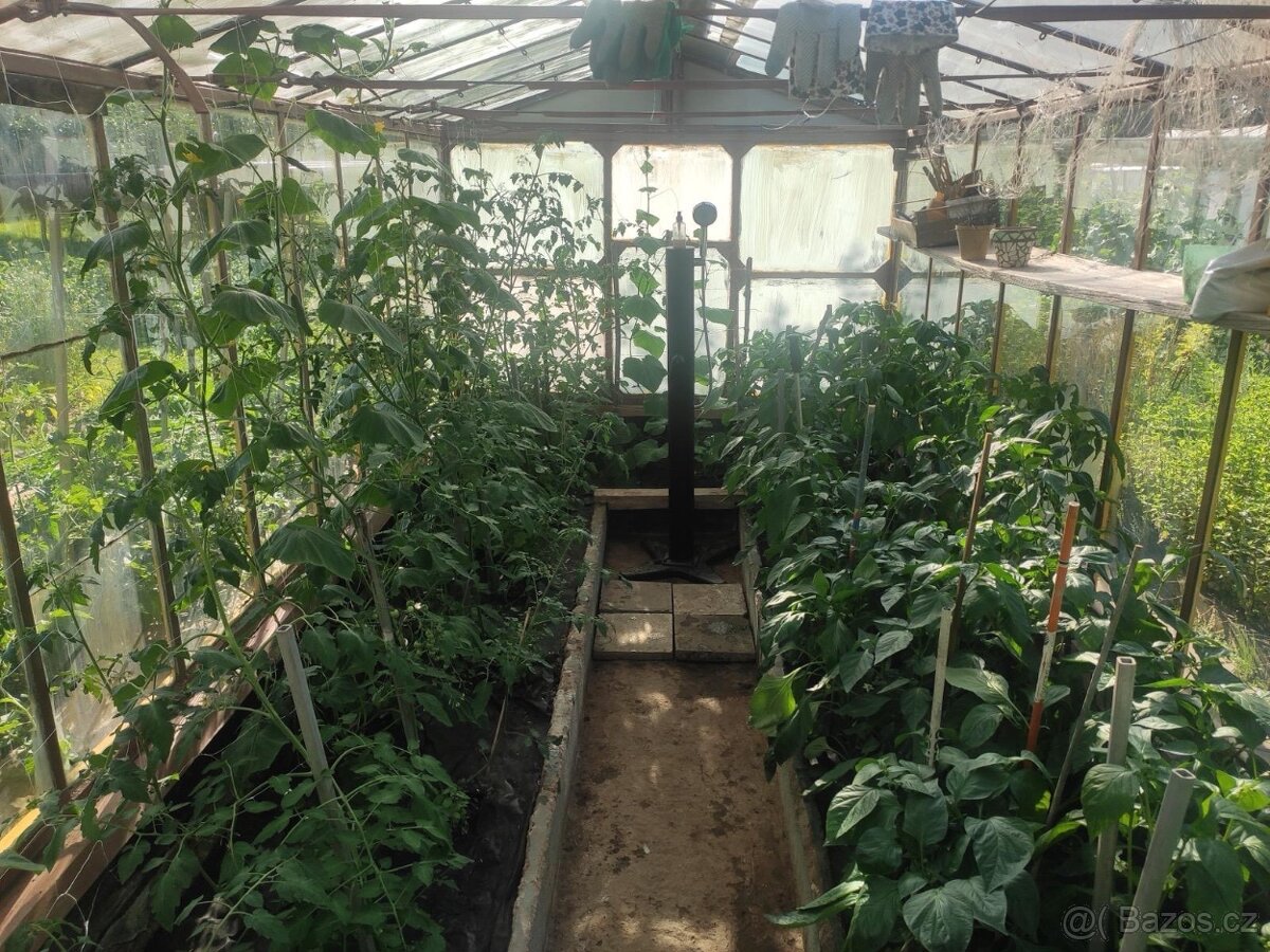 Skleník - 2