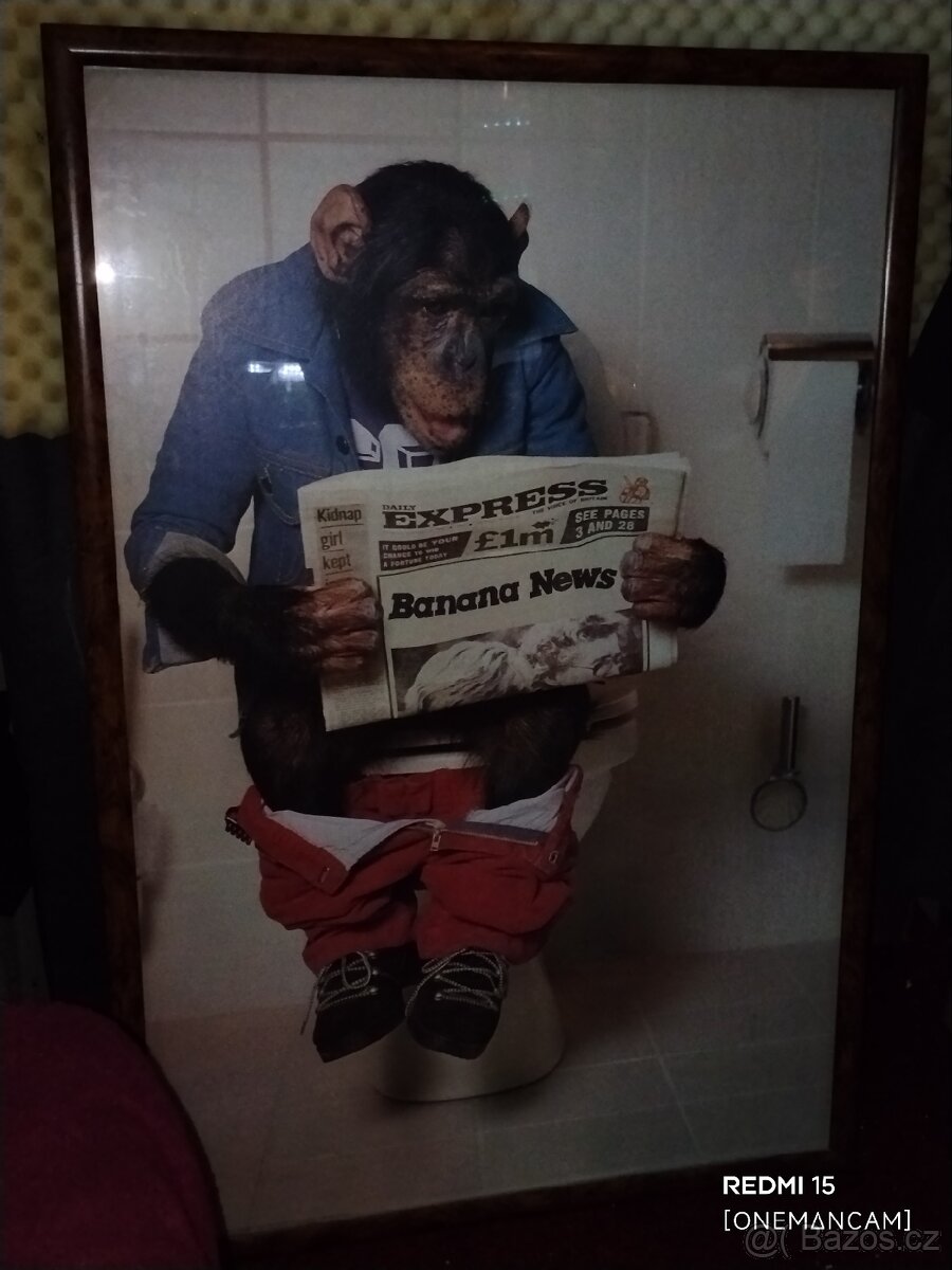 Šimpanz na toaletě s Banana News - 2