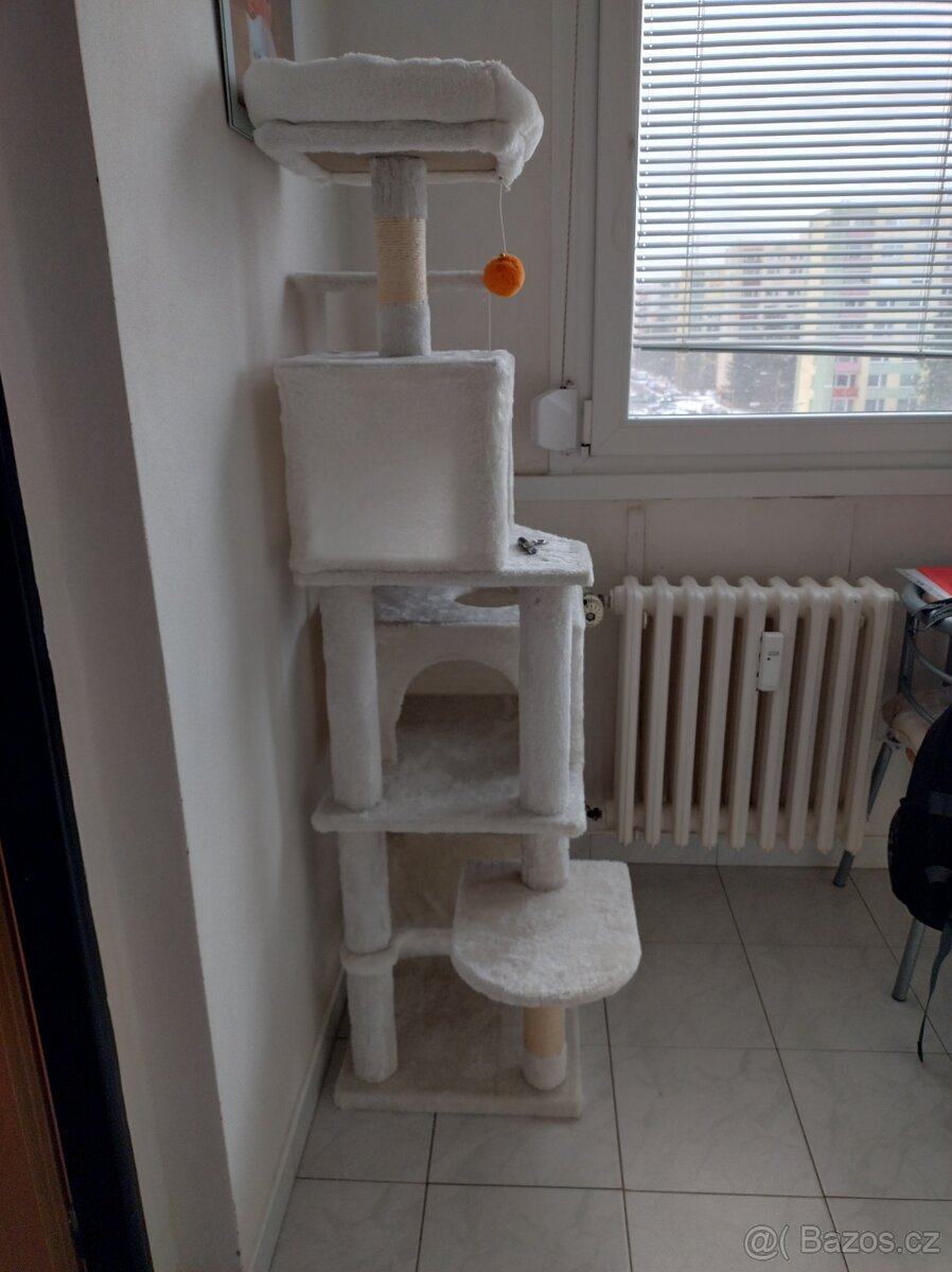 Kočičí výbava - 2