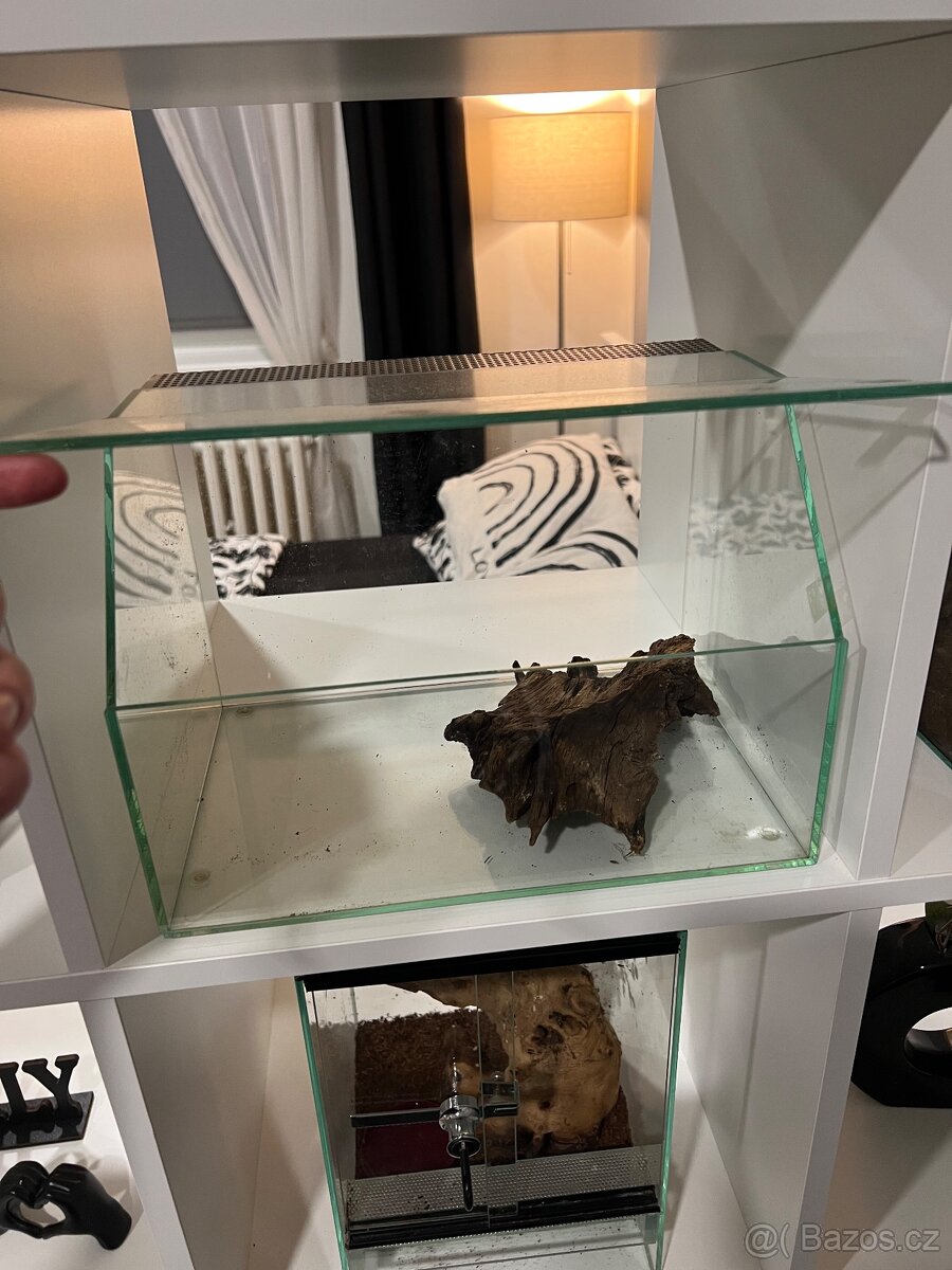 Terárium zkosené - 2