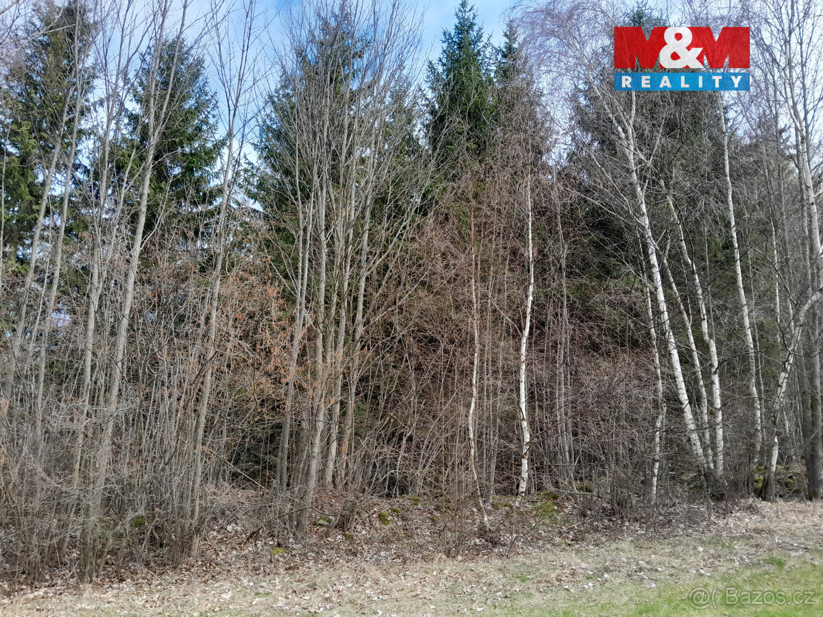 Prodej lesa, 5083 m², Zálezly - Setěchovice - 2