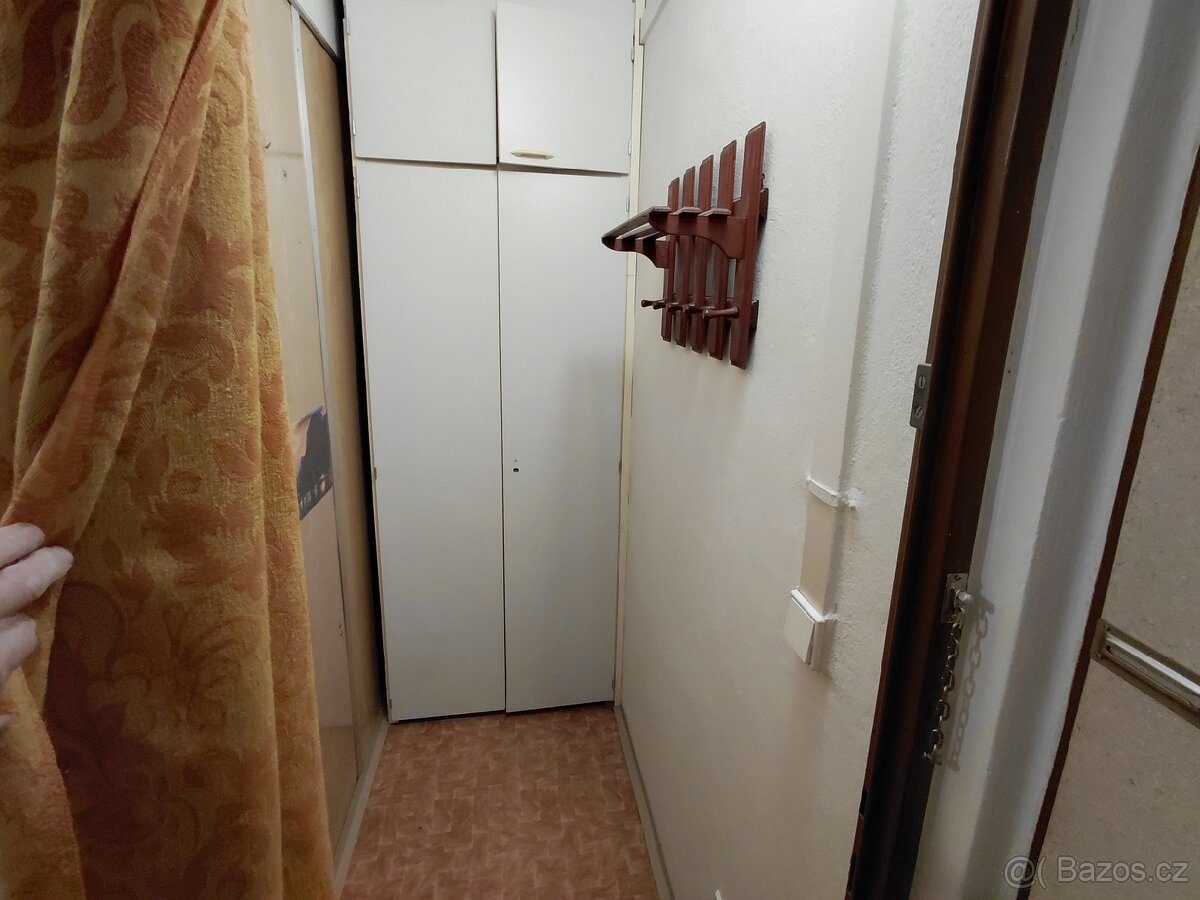 Pronajmu garsonku - 2