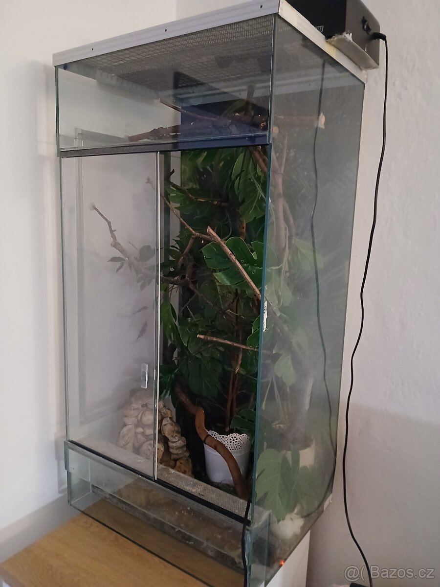 Terarium - 2