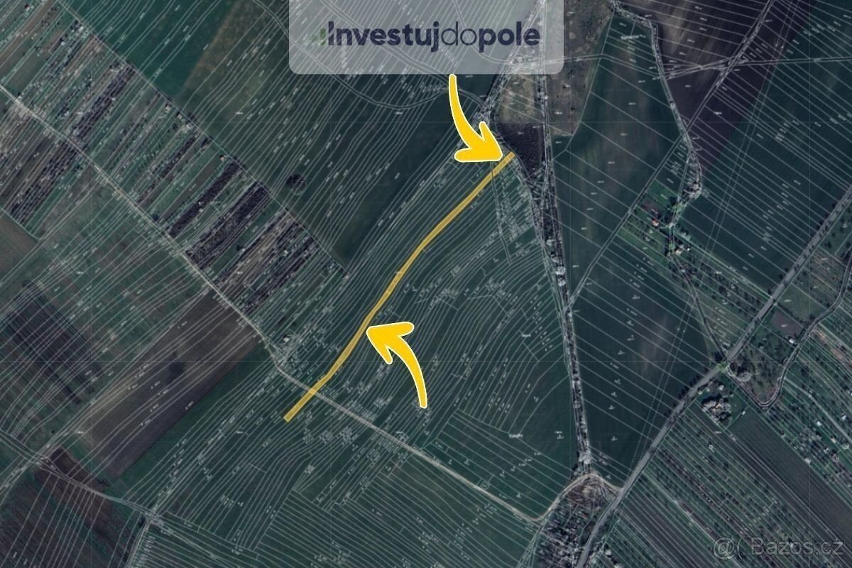 Prodej sadu / vinice 2 323 m², Strážnice - 2