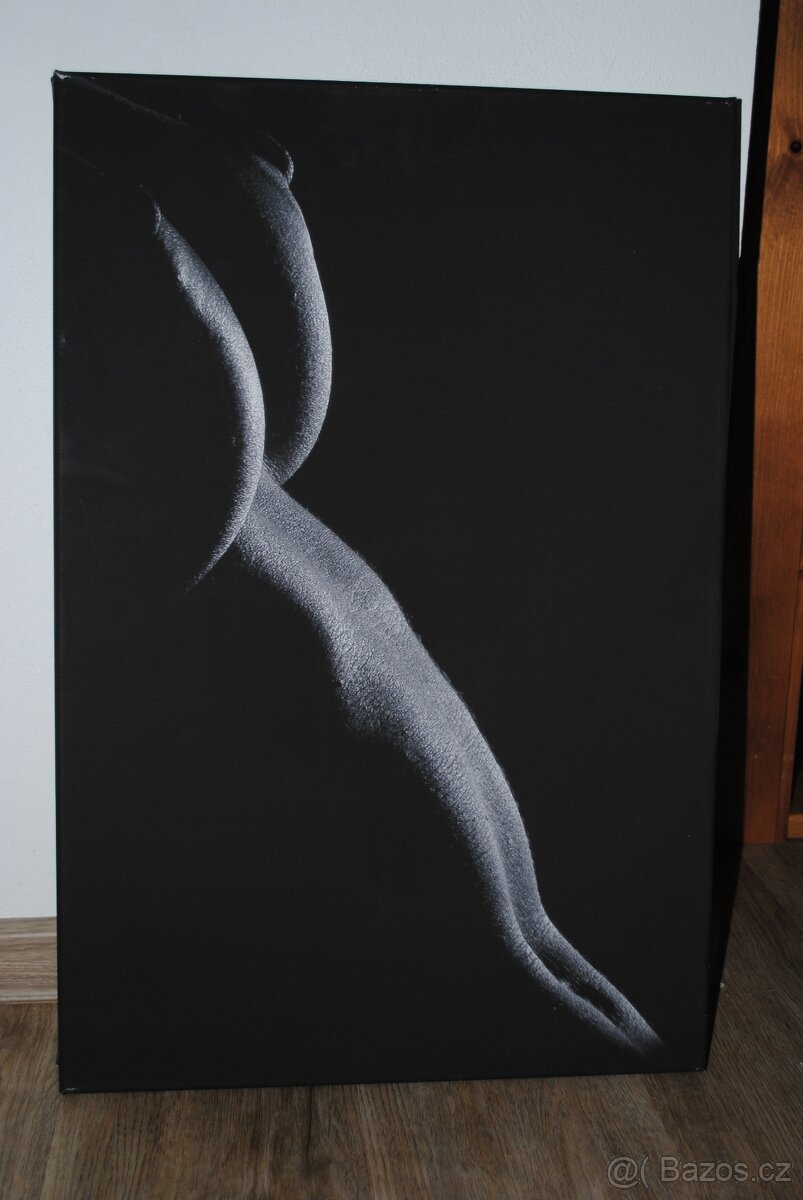 prodám obraz - 2 ks - 2