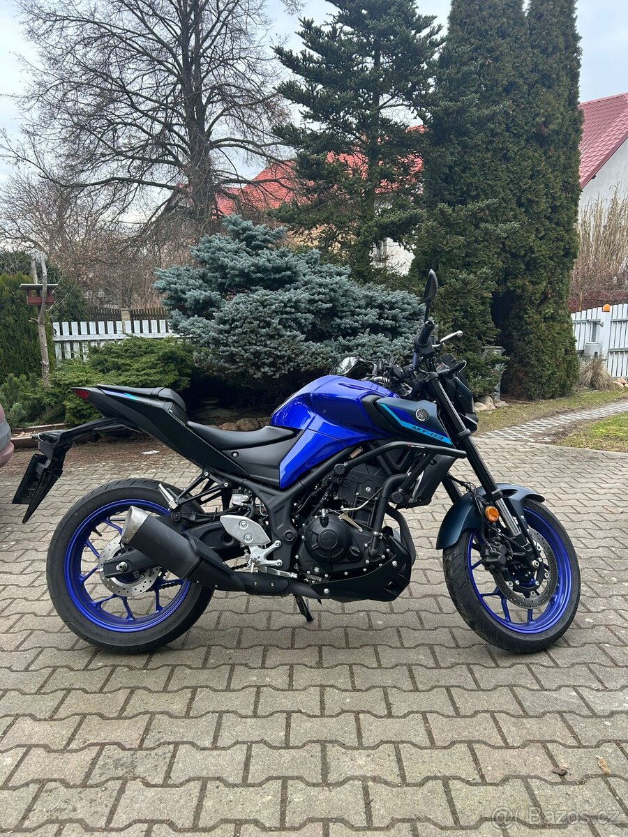 Yamaha MT03 - 2