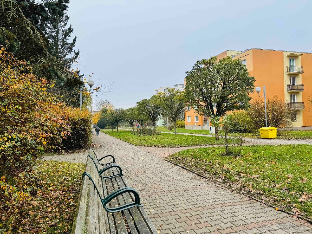 Prodej, byt 2+1, 56m2, ul. Smrková, Plzeň - město - 2