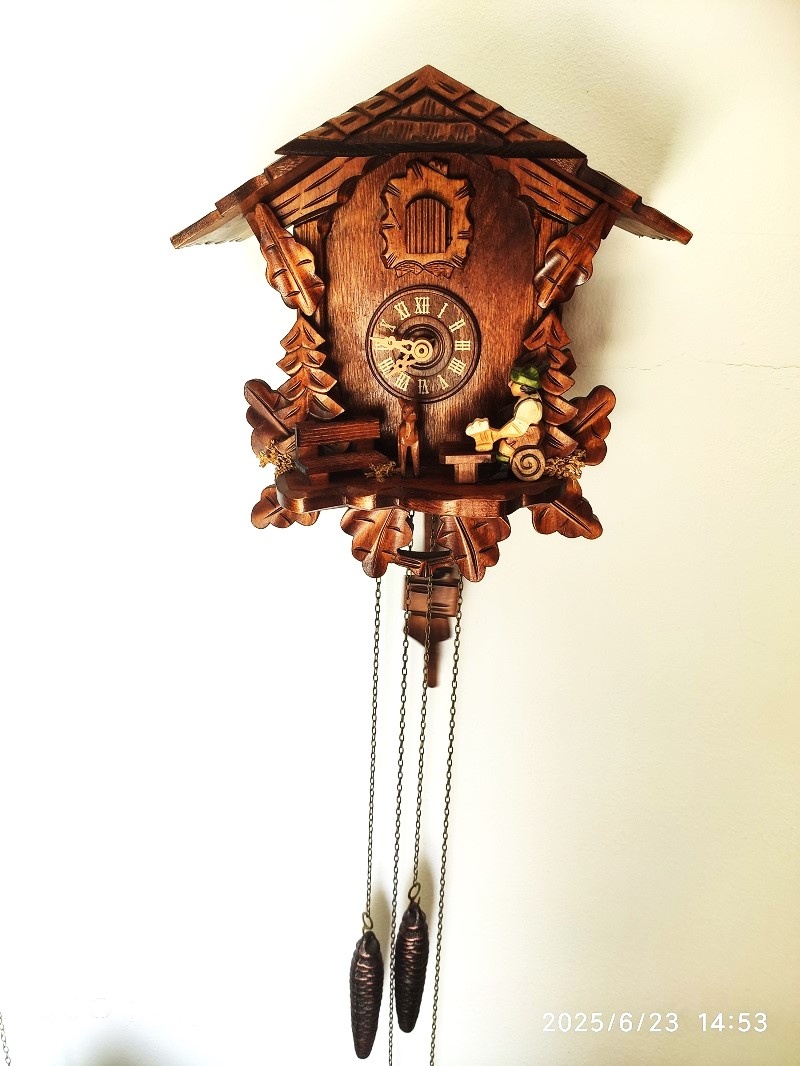 Hezke, kukacky, Schwarzwald - 2