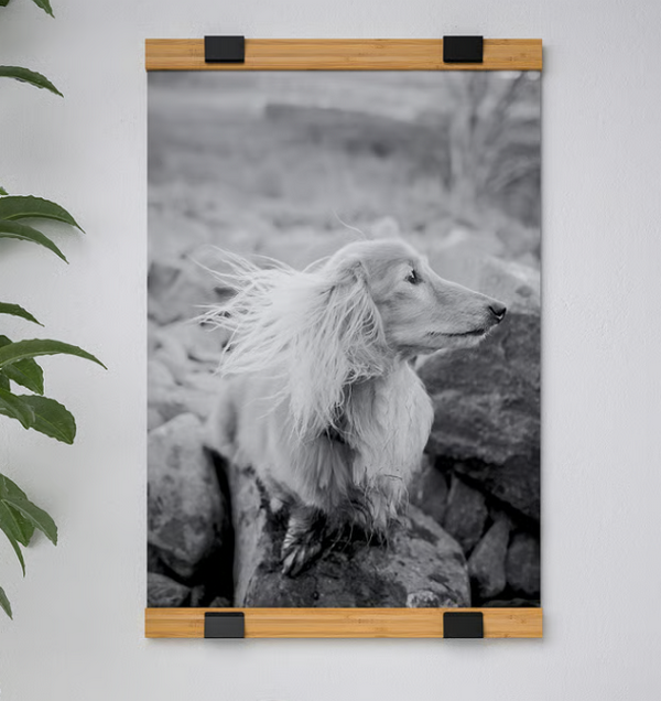 VISBÄCK sada na zavěšení plakátu (NOVÁ; 61 cm) - 2