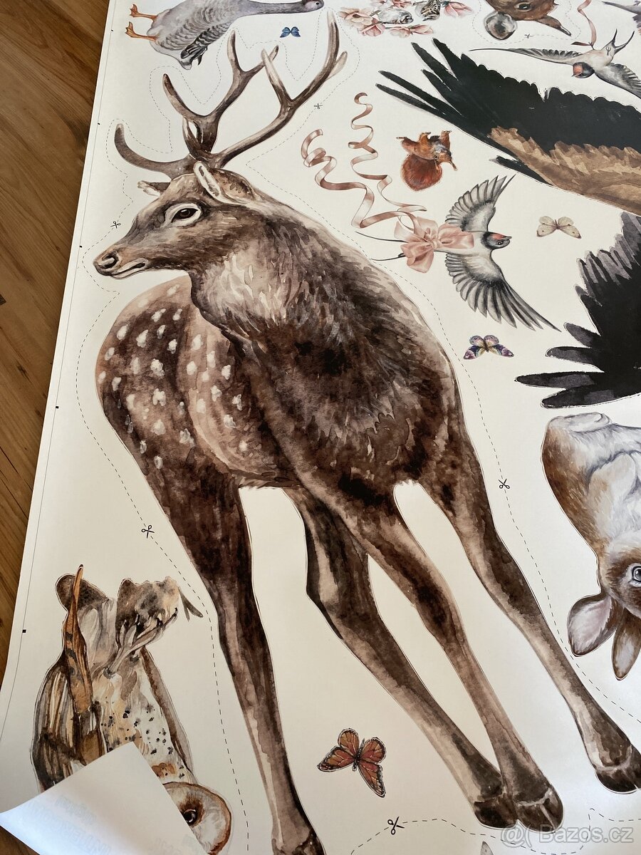 Tapeta do interiéru, nová - 2