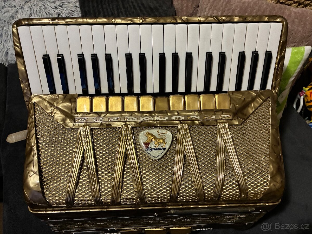 Akordeon/Harmonika Delicia Lignatone - 2