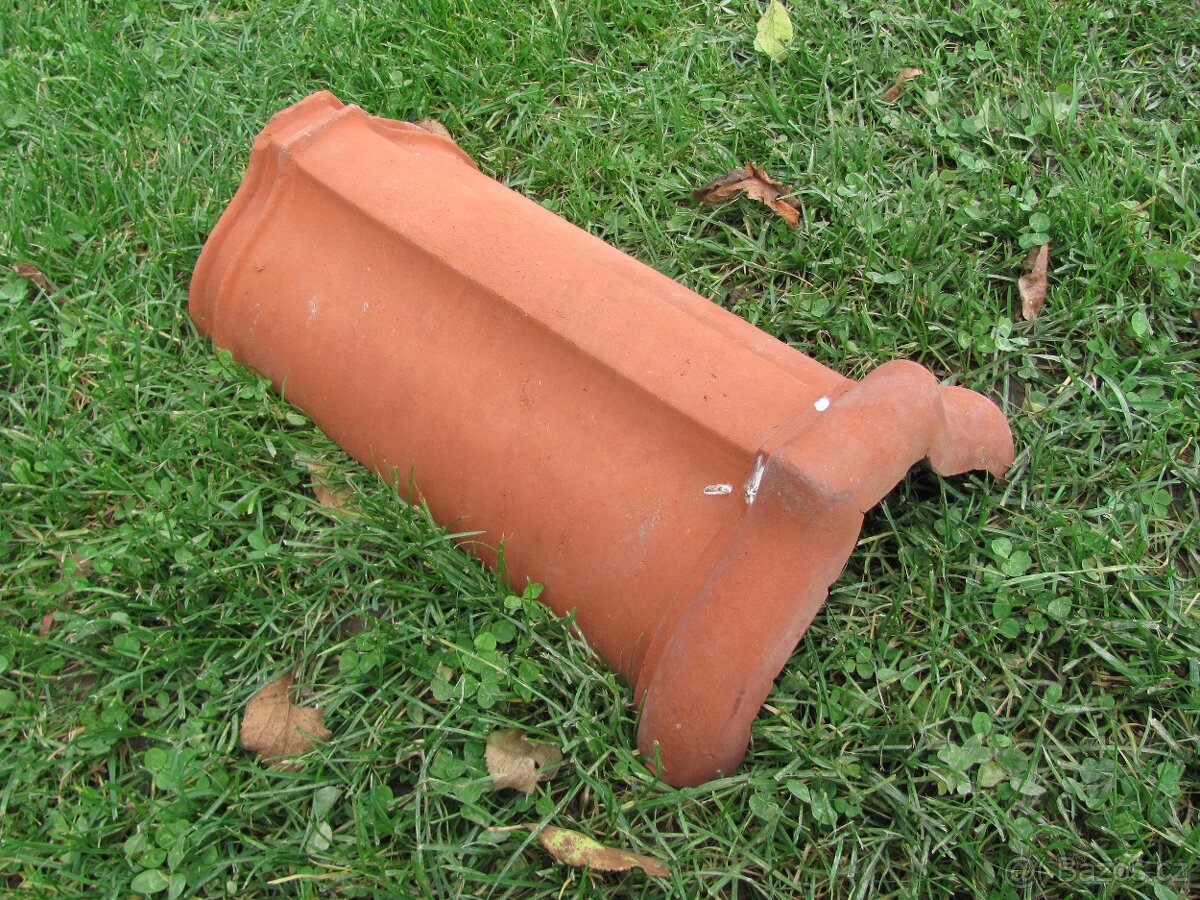 Hřebenáče / 8ks - 2