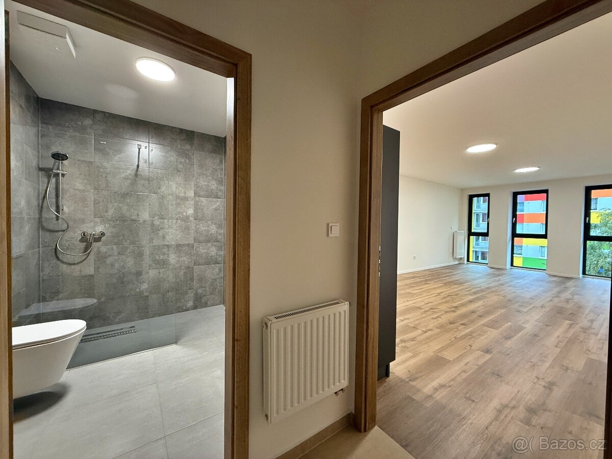 Pronájem bytové jednotky 1+kk 50m2 - 2