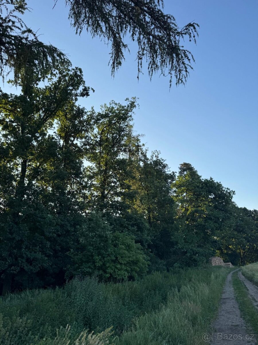 Prodám lesní pozemky v k.ú. Vlašim - 2