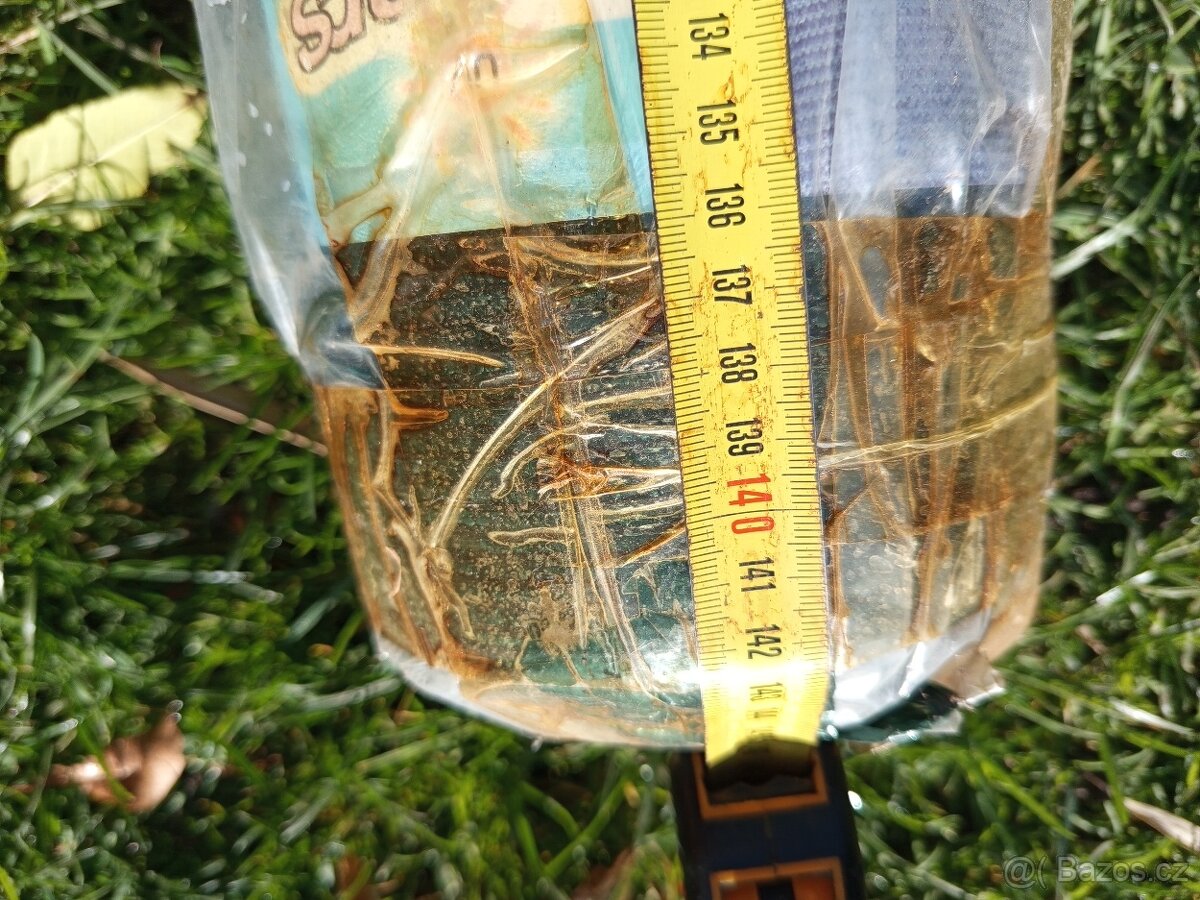 zahradní stínící sít zelená 1,5x50m - 2