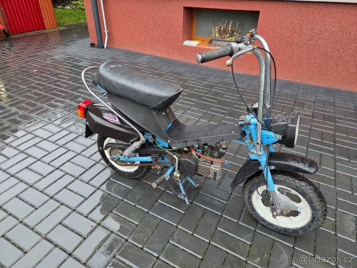 MOKIK Babetta - STELLA vzácná - 2