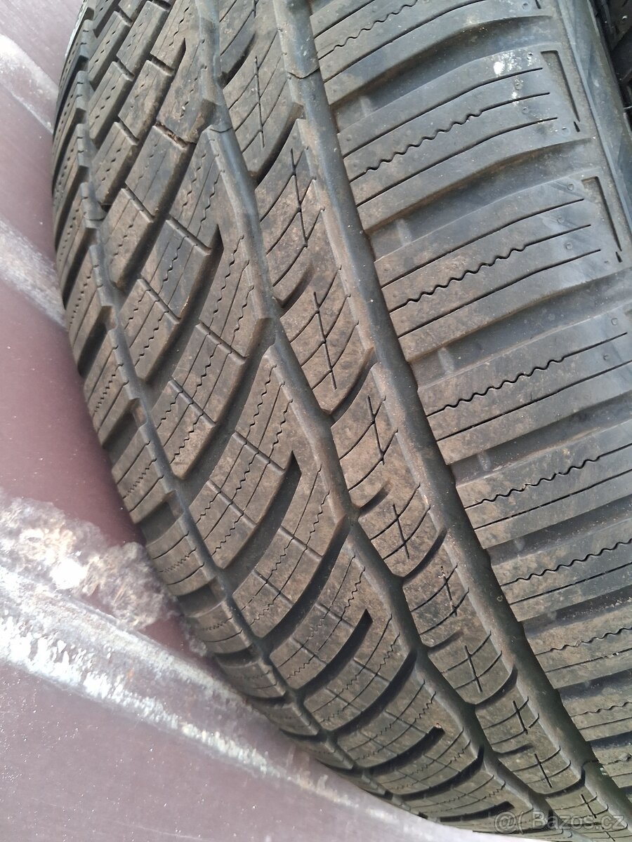 Zimni sada Tomket - 2