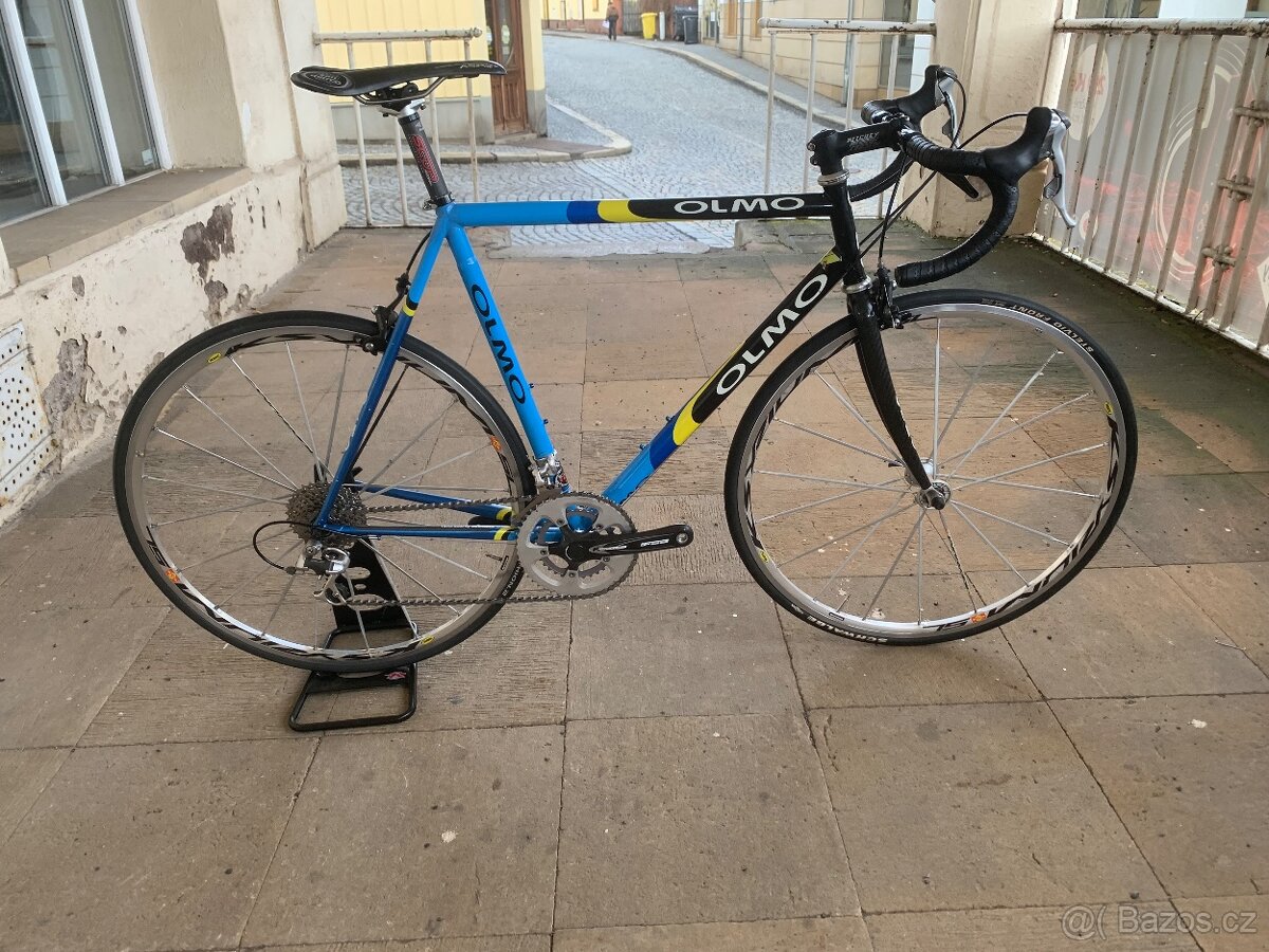 Olmo - 2