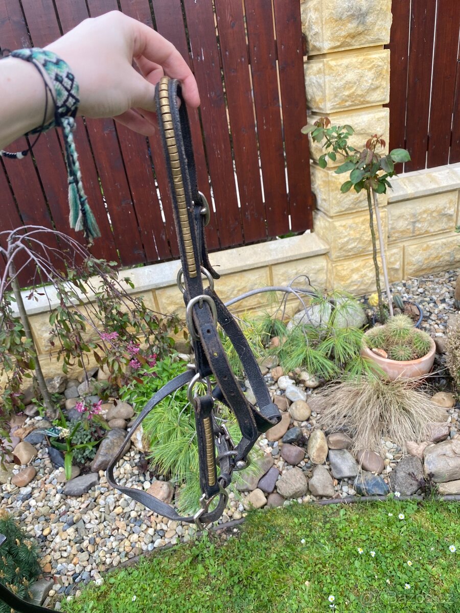 Kožená ohlávka (pony/shetty) - 2