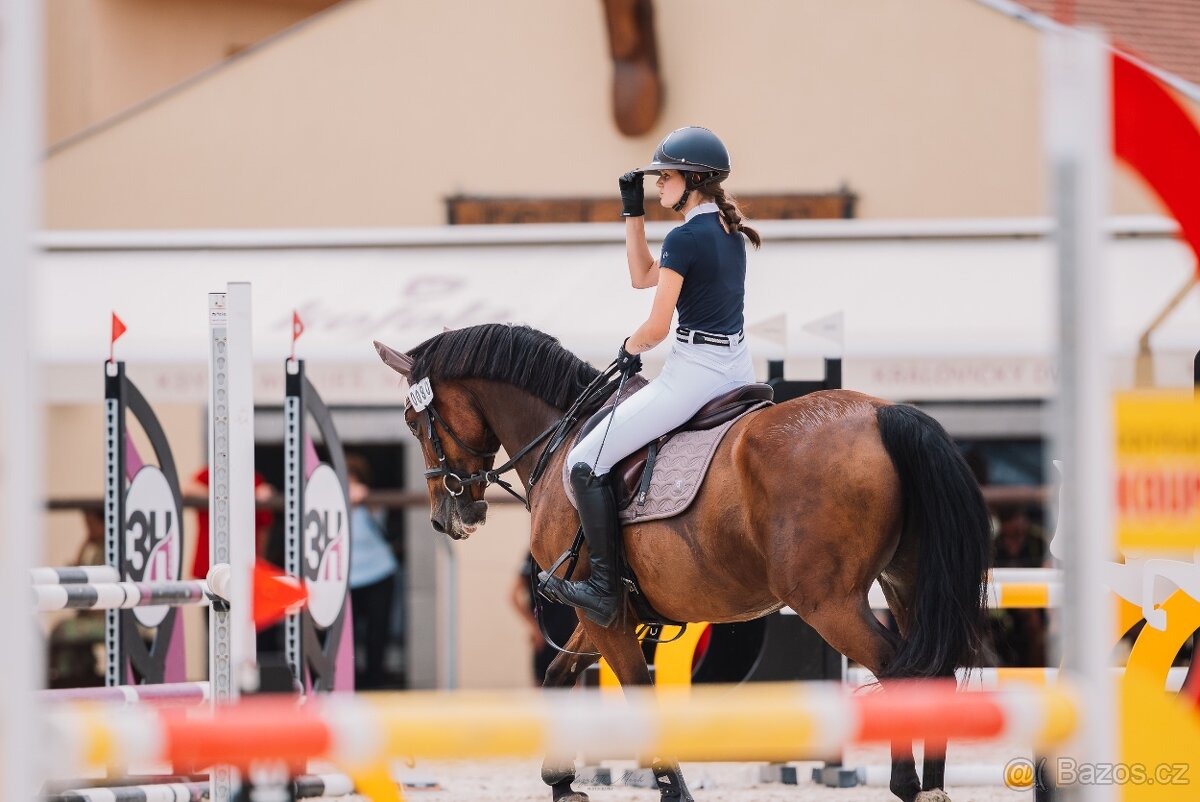 Parkurová klisna pro ambiciózního juniora - 2