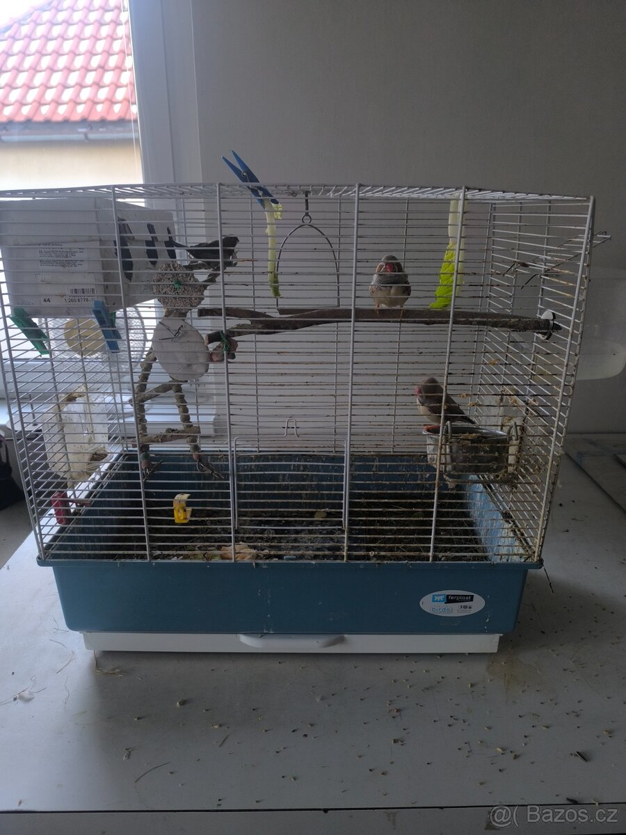 Klec a ptactvo - 2