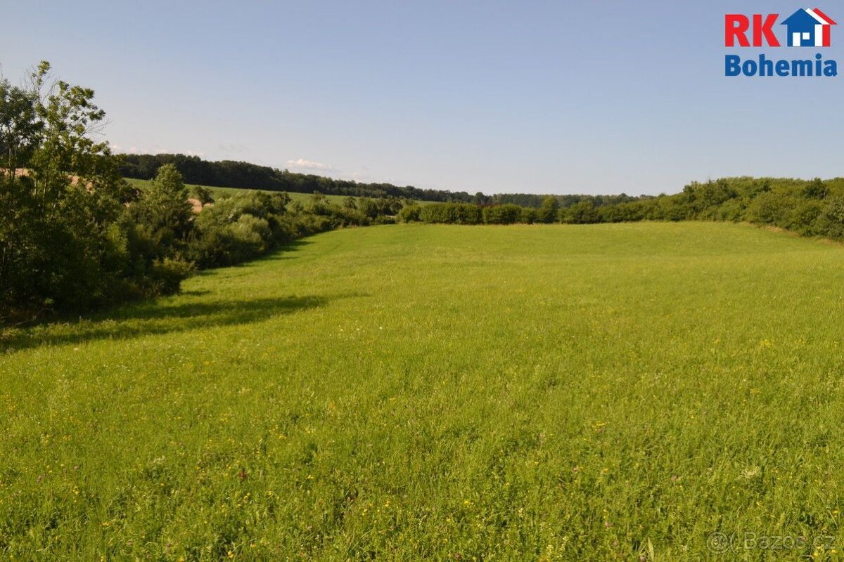 Prodej, pozemek nad rybníkem, Cholenice, okres Jičín - 2