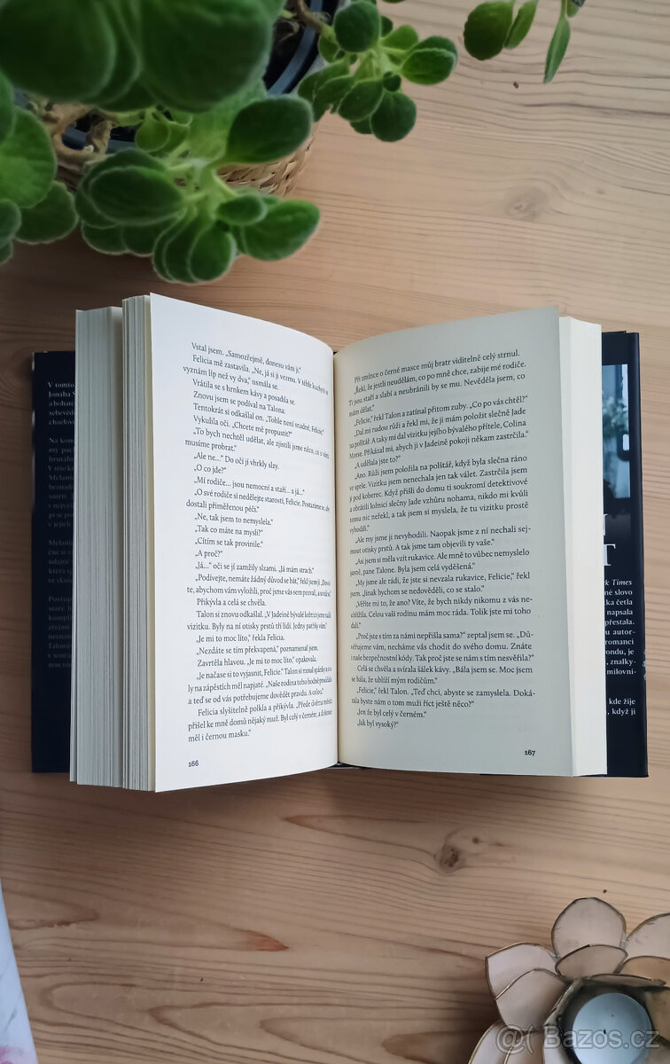 Plamen – Helen Hardt - NOVÁ - 2