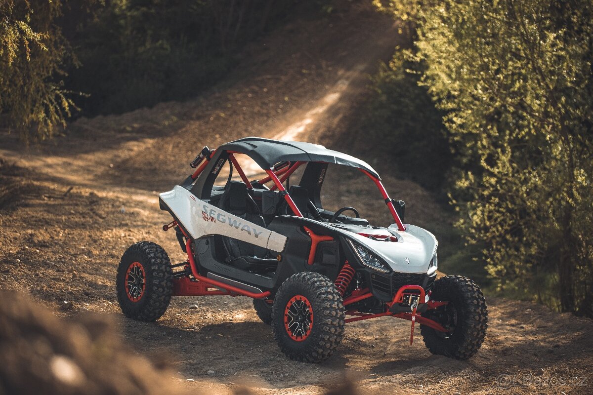 Segway Villain SX10 X diff, T1b - 2