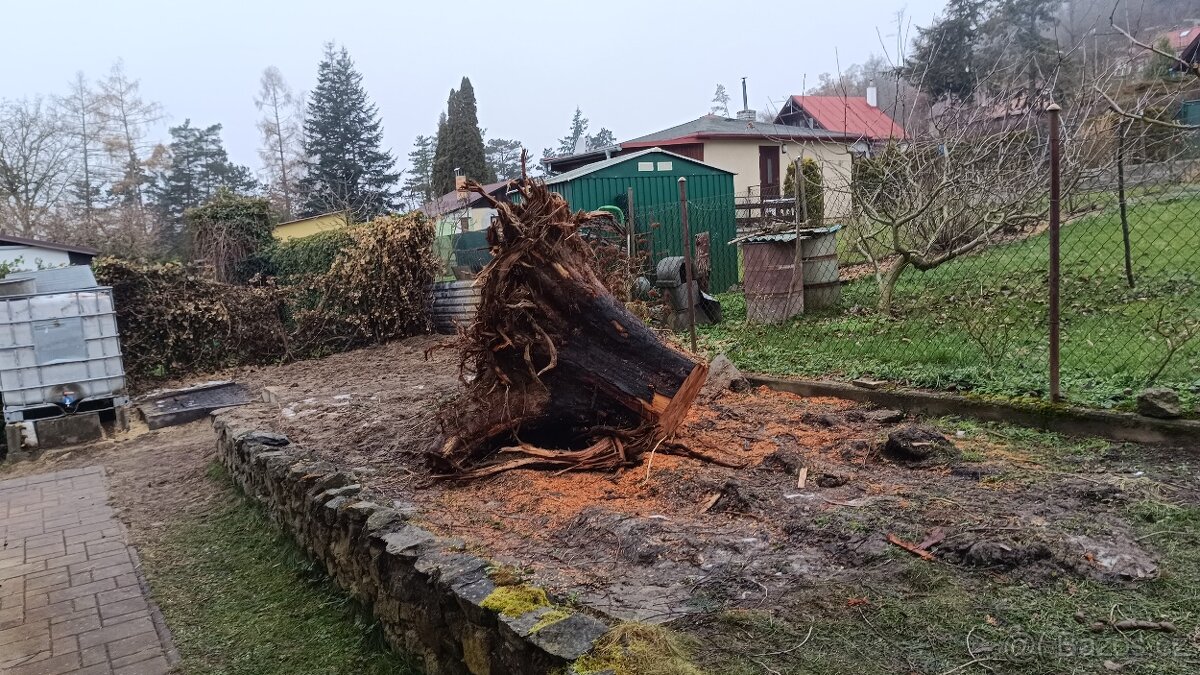 Nabízím dřevo - 2