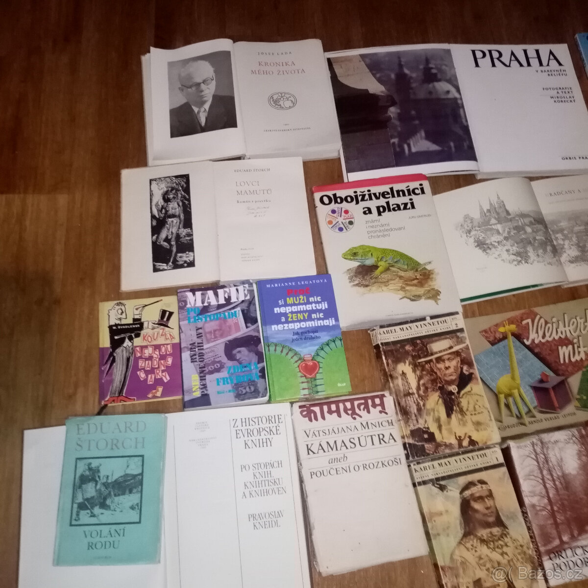 PRODÁM RŮZNÉ STARÉ KNIHY - UMĚNÍ HISTORIE, MÍSTOPIS AJ. - 2