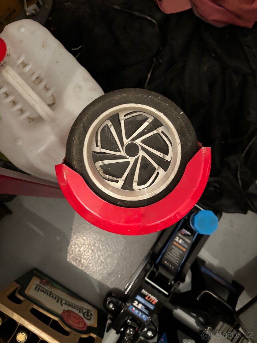 Prodám 3 sagweje - 2