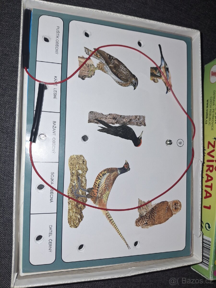 Elektrická výuková hračka Zvířata - 2