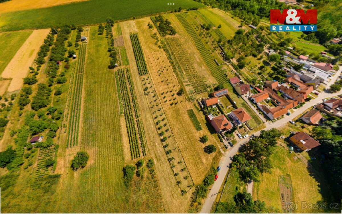 Prodej pozemku k bydlení, 7835 m², Borkovany - 2