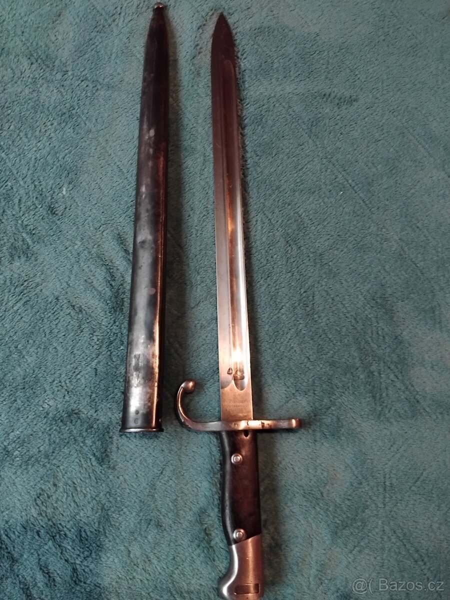 Argentinský bodák - 2