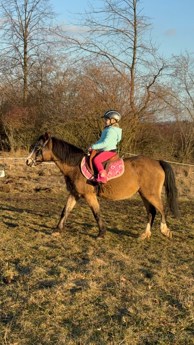 První pony pro děti - 2