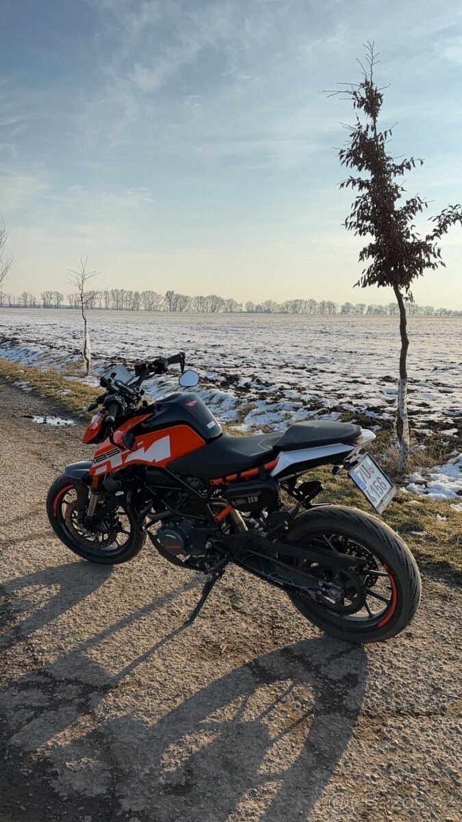KTM duke 125 - 2