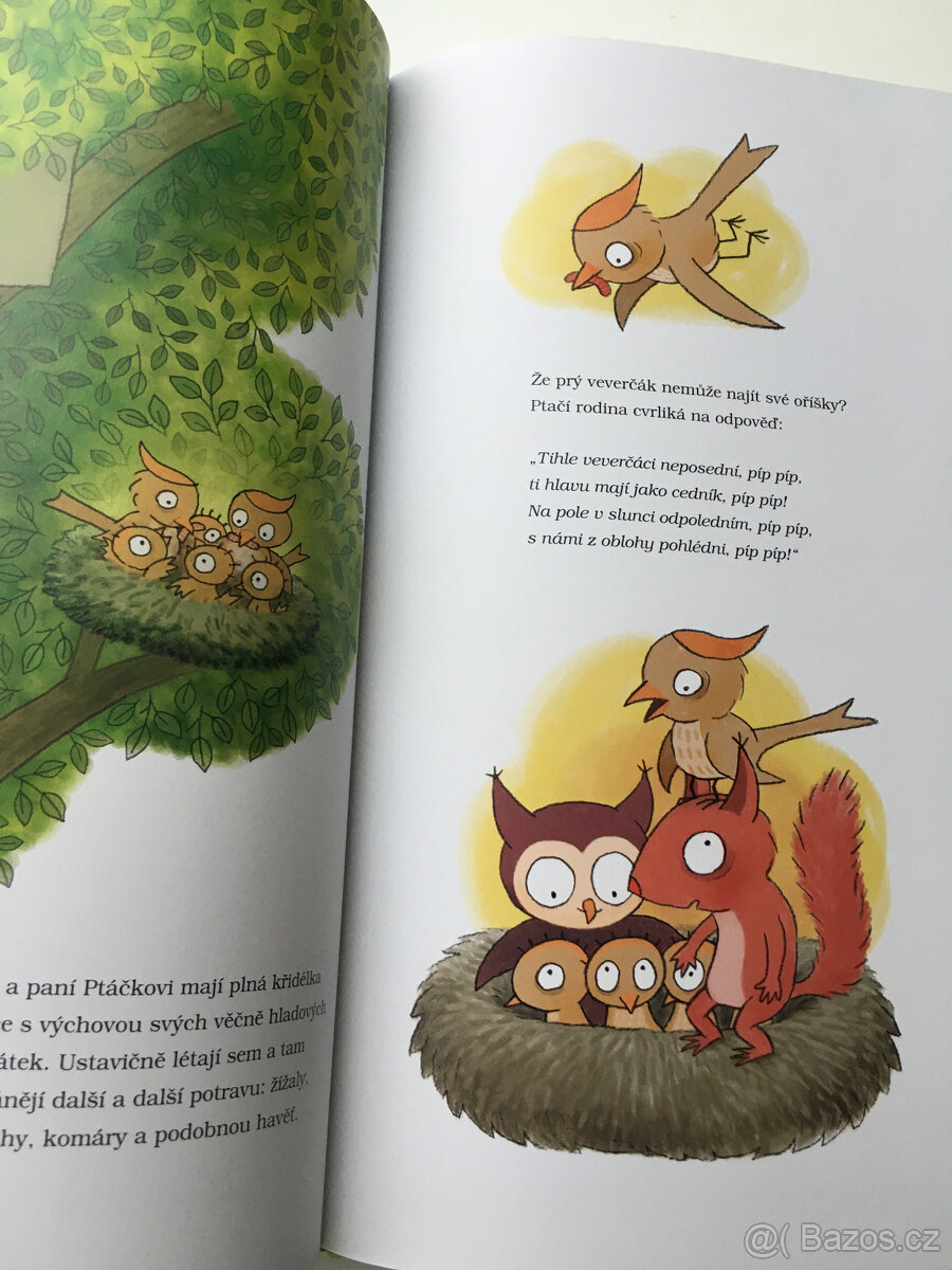 Kolik pater má strom - NOVÁ - 2