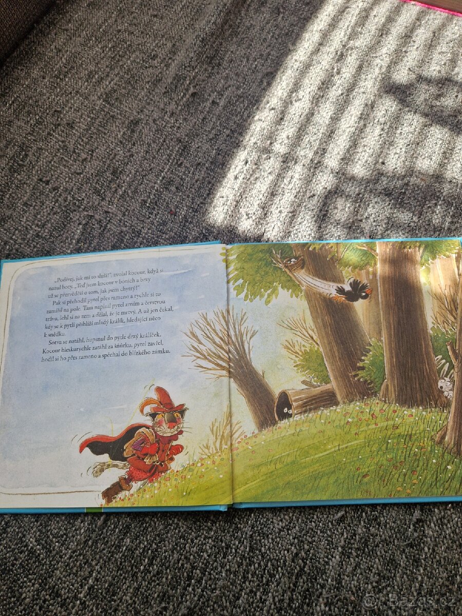 Kocour v botách - 2