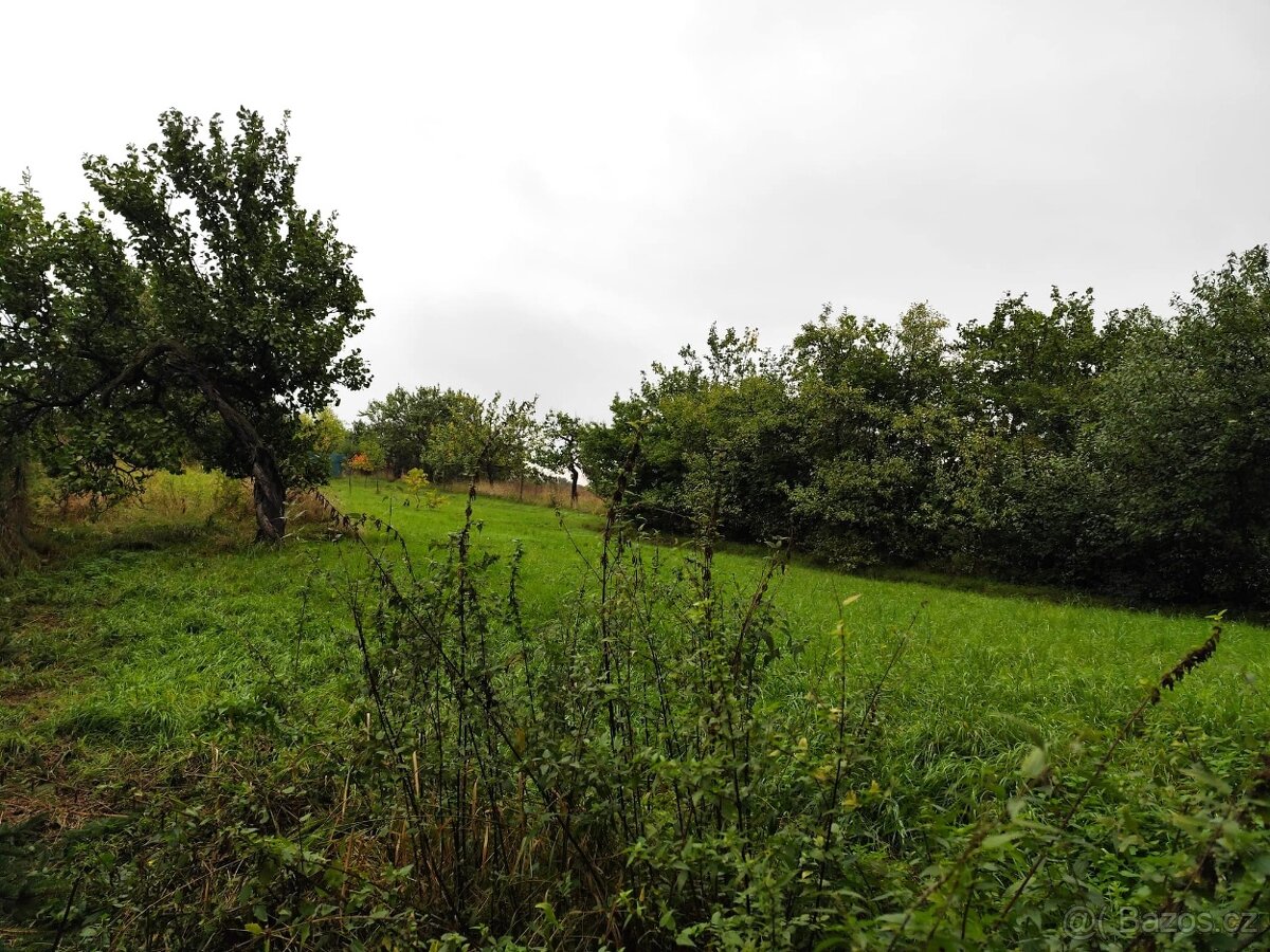 Prodej spol. pod. 2/3 RD, 2516 m2, Miroslavské Knínice - 2