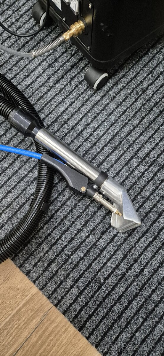 Pronájem PROFI tepovače - 2