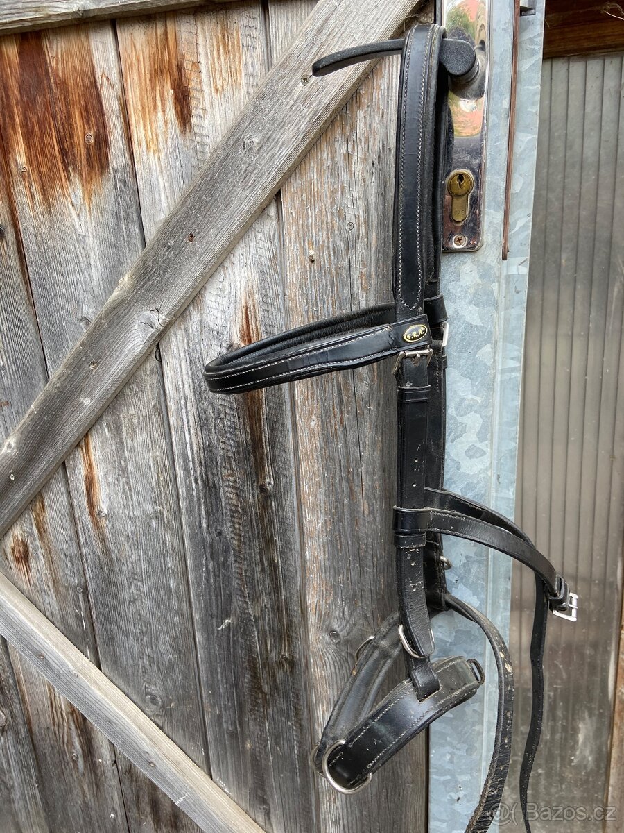 Obnosek, hackamore - 2
