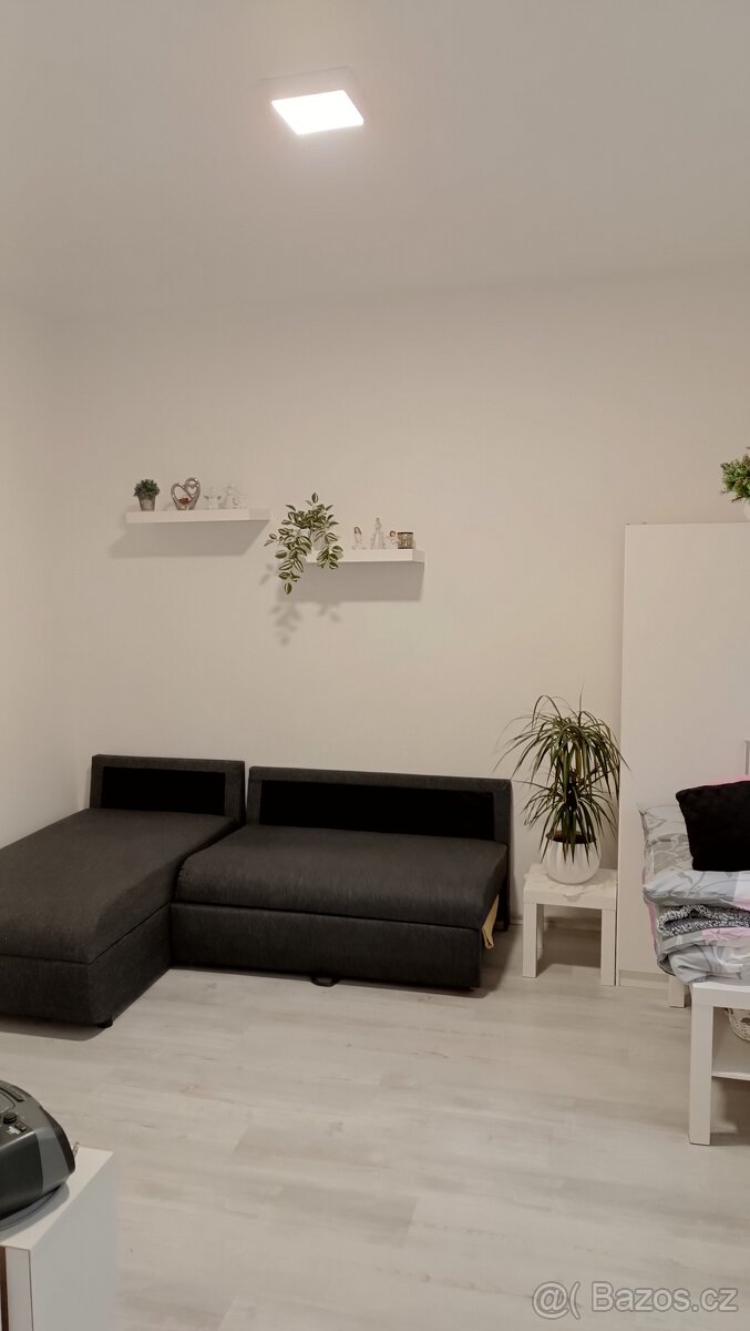Pronájem bytu 1+kk - 2
