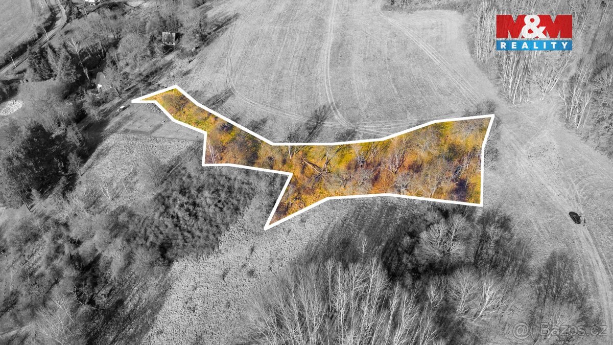 Prodej louky, 3251 m², Radeč u Horní Police, Žandov - 2