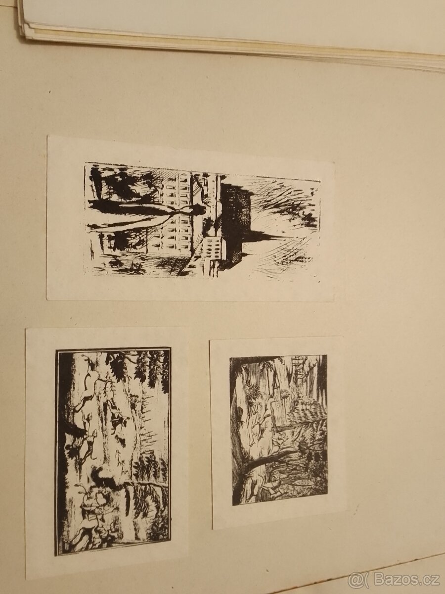 Skicy neznámý autor - 2