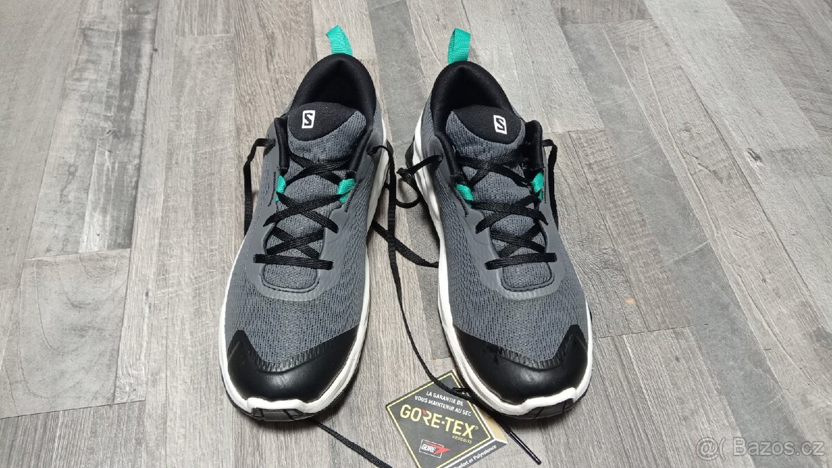 Dámské trail boty Salomon X Reveal GTX W vel.39 1/3 - 2