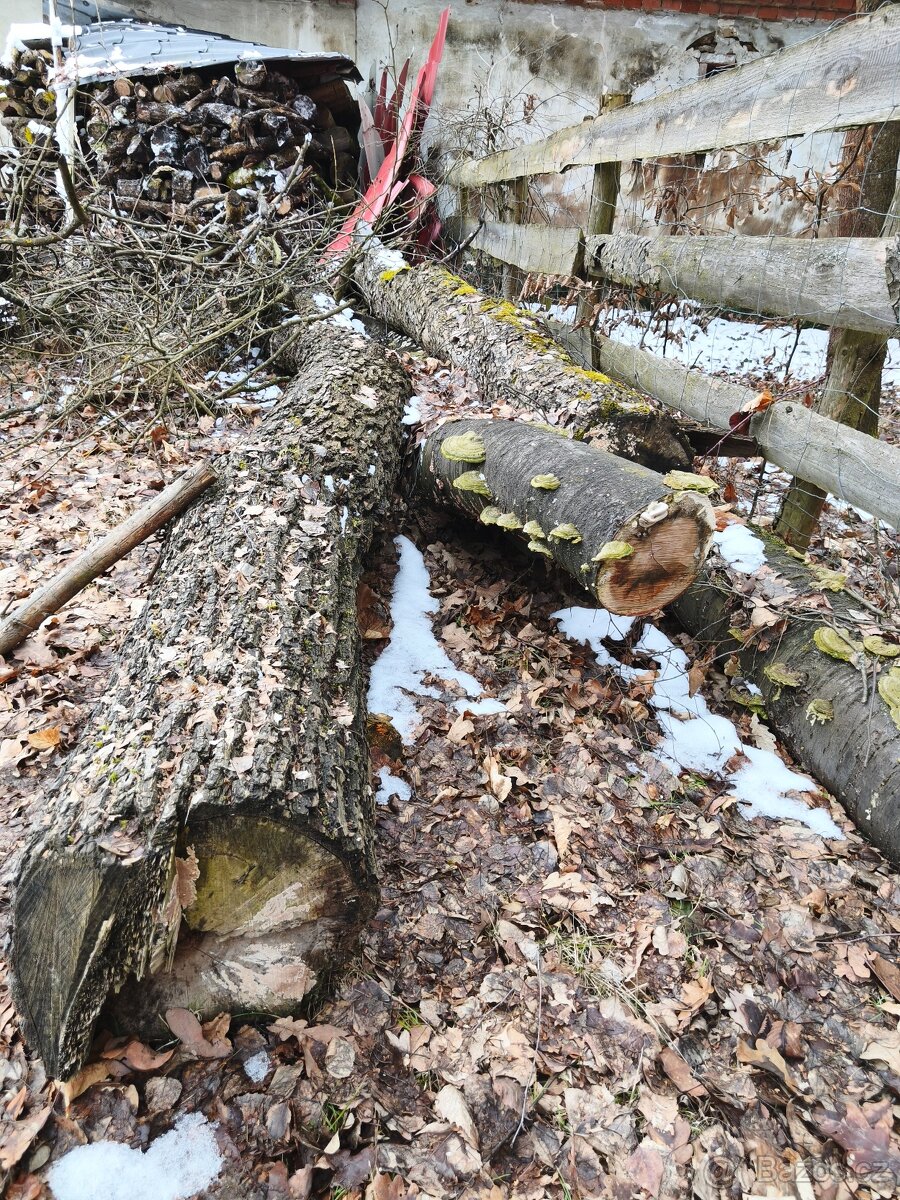 Řezbářske drevo - 2