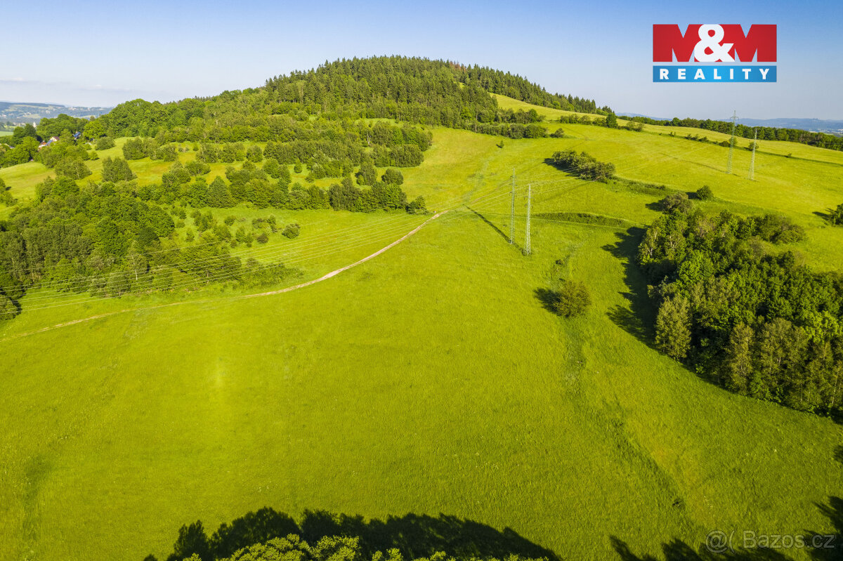 Prodej louky, 7096 m², Dlouhý Most - 2