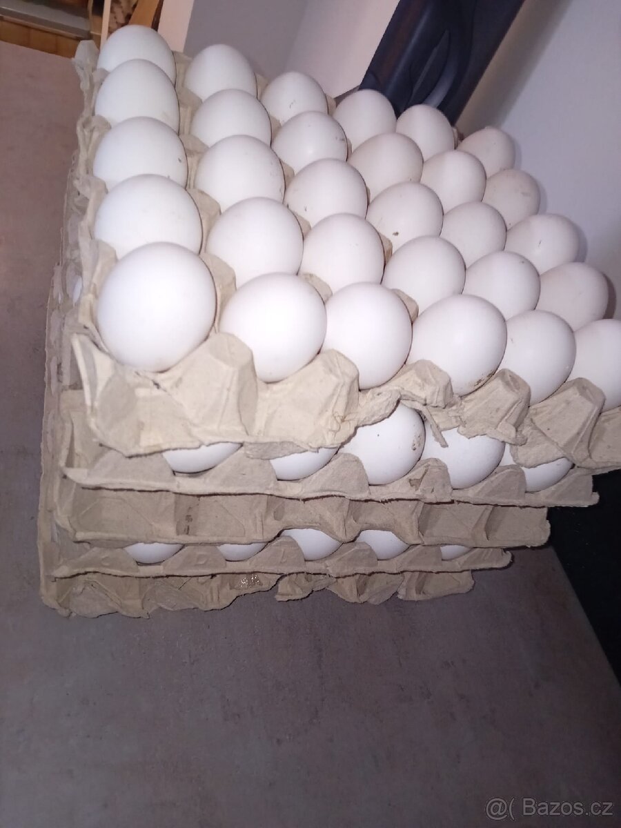 Domácí vejce - 2