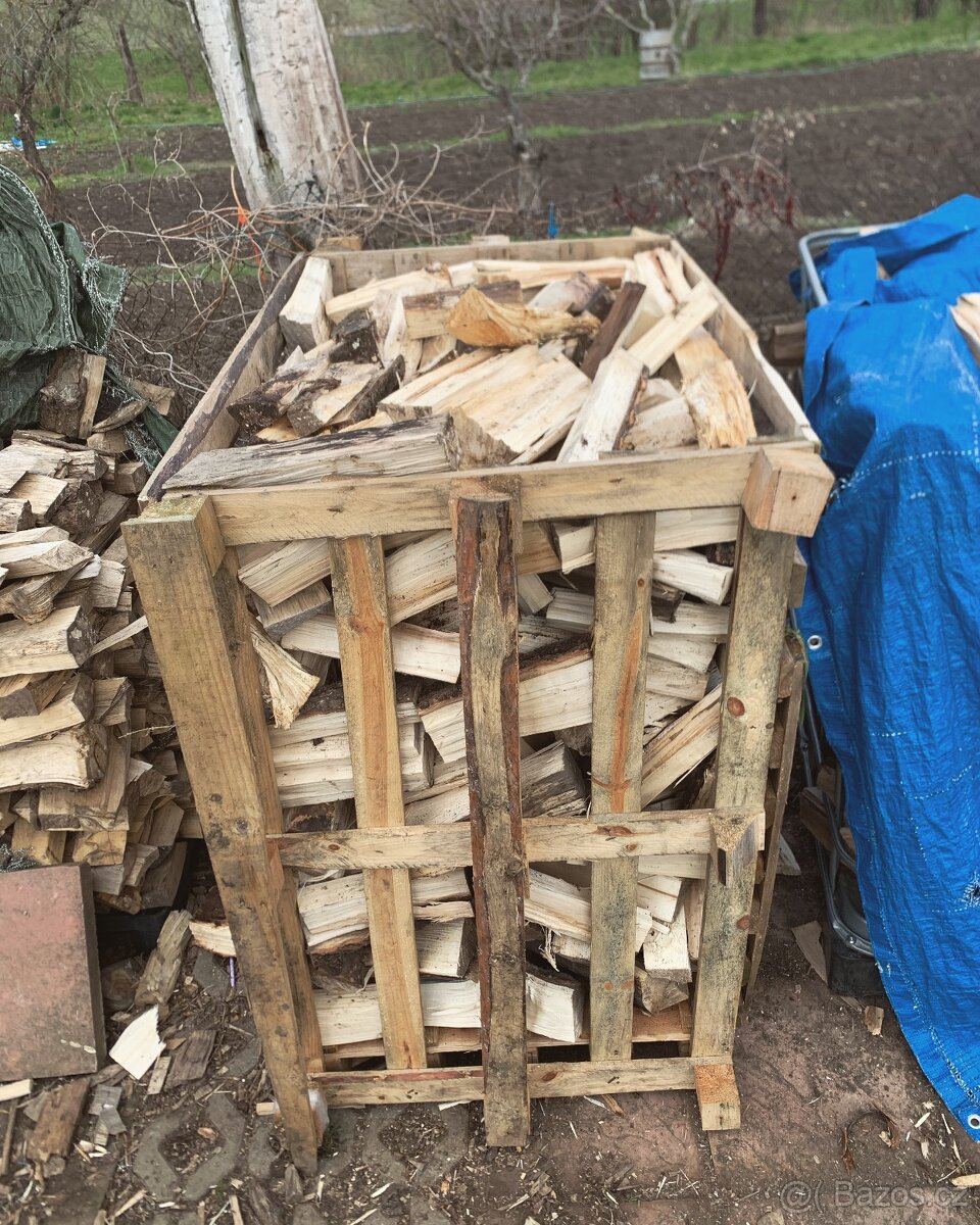 Tvrdé rovnané dřevo - 2